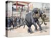Elephant Tiger Fight Chinese or Vietnamese Circus (Annam)-null-Stretched Canvas
