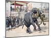 Elephant Tiger Fight Chinese or Vietnamese Circus (Annam)-null-Mounted Giclee Print