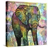 Elephant Torn-Dean Russo-Stretched Canvas