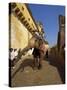 Elephant Transport for Tourists, Amber Palace, Near Jaipur, Rajasthan State, India-Harding Robert-Stretched Canvas