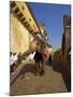 Elephant Transport for Tourists, Amber Palace, Near Jaipur, Rajasthan State, India-Harding Robert-Mounted Photographic Print