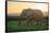 Elephant Travels in Sunset, South Africa, Addo Elephant Park-Stefan Oberhauser-Framed Stretched Canvas