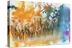 Elephant Tribe-Graeme Stevenson-Stretched Canvas