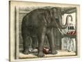 Stretched Canvas