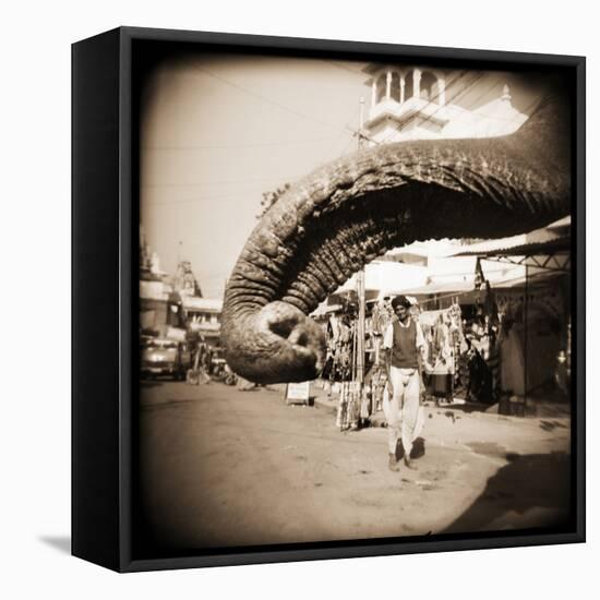 Elephant Trunk at Indian Bazaar-Theo Westenberger-Framed Stretched Canvas
