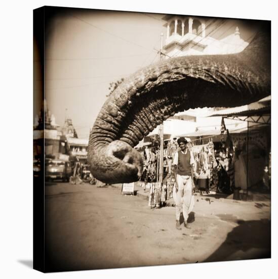 Elephant Trunk at Indian Bazaar-Theo Westenberger-Stretched Canvas