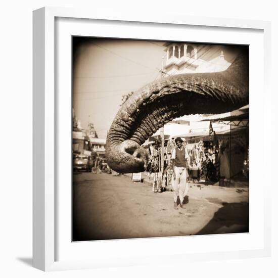 Elephant Trunk at Indian Bazaar-Theo Westenberger-Framed Photographic Print