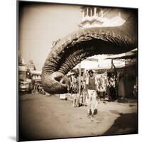 Elephant Trunk at Indian Bazaar-Theo Westenberger-Mounted Photographic Print