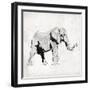 Elephant Trunk Up-OnRei-Framed Art Print