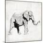 Elephant Trunk Up-OnRei-Mounted Art Print