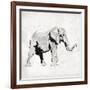 Elephant Trunk Up-OnRei-Framed Art Print