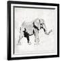 Elephant Trunk Up-OnRei-Framed Art Print