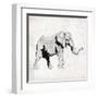 Elephant Trunk Up-OnRei-Framed Art Print