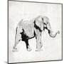 Elephant Trunk Up-OnRei-Mounted Art Print