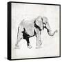 Elephant Trunk Up-OnRei-Framed Stretched Canvas