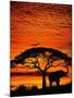 Elephant Under Broad Tree-Jim Zuckerman-Mounted Photographic Print