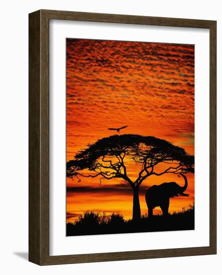 Elephant Under Broad Tree-Jim Zuckerman-Framed Photographic Print