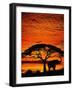 Elephant Under Broad Tree-Jim Zuckerman-Framed Photographic Print