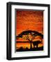 Elephant Under Broad Tree-Jim Zuckerman-Framed Photographic Print