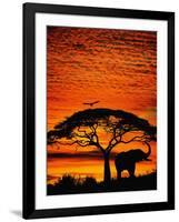 Elephant Under Broad Tree-Jim Zuckerman-Framed Photographic Print