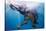 Elephant Underwater-null-Stretched Canvas