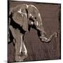 Elephant Walk Brown-OnRei-Mounted Art Print