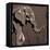 Elephant Walk Brown-OnRei-Framed Stretched Canvas