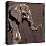 Elephant Walk Brown-OnRei-Stretched Canvas