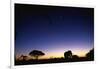 Elephant Walking Along Savuti Marsh at Dawn-null-Framed Photographic Print