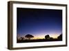 Elephant Walking Along Savuti Marsh at Dawn-null-Framed Photographic Print