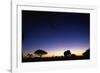 Elephant Walking Along Savuti Marsh at Dawn-null-Framed Photographic Print