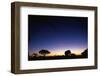 Elephant Walking Along Savuti Marsh at Dawn-null-Framed Photographic Print