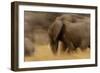 Elephant Walking in Tarangire National Park, Tanzania-Paul Joynson Hicks-Framed Photographic Print