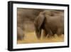 Elephant Walking in Tarangire National Park, Tanzania-Paul Joynson Hicks-Framed Photographic Print