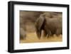 Elephant Walking in Tarangire National Park, Tanzania-Paul Joynson Hicks-Framed Photographic Print