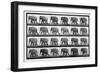 Elephant Walking, Plate 733 from 'Animal Locomotion', 1887 (B/W Photo)-Eadweard Muybridge-Framed Giclee Print