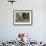 Elephant Walking Towards Camera in African Bush, Tanzania-Paul Joynson Hicks-Framed Photographic Print displayed on a wall