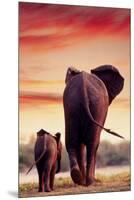 Elephant Walking with Calf-null-Mounted Premium Giclee Print