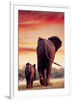 Elephant Walking with Calf-null-Framed Art Print