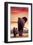 Elephant Walking with Calf-null-Framed Art Print