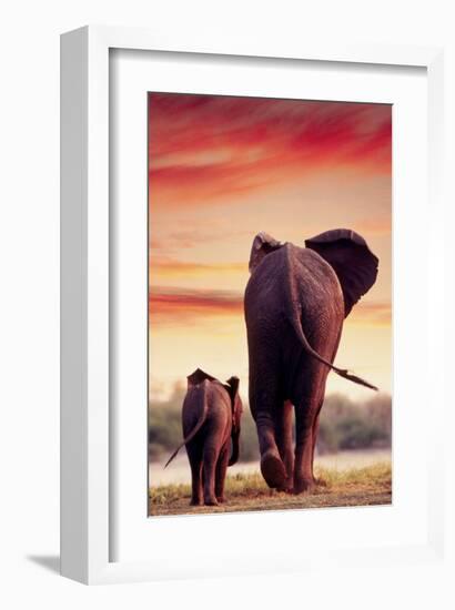 Elephant Walking with Calf-null-Framed Art Print