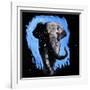 Elephant Walking-null-Framed Art Print