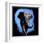 Elephant Walking-null-Framed Art Print