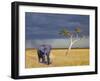 Elephant Walking-Ata Alishahi-Framed Giclee Print