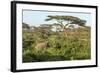 Elephant Walks Through Jungle Landscape, Ngorongoro, Tanzania-James Heupel-Framed Photographic Print