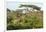 Elephant Walks Through Jungle Landscape, Ngorongoro, Tanzania-James Heupel-Framed Photographic Print