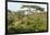 Elephant Walks Through Jungle Landscape, Ngorongoro, Tanzania-James Heupel-Framed Photographic Print