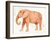 Elephant Wisdom I-Annie Warren-Framed Art Print