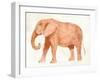 Elephant Wisdom I-Annie Warren-Framed Art Print