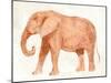 Elephant Wisdom I-Annie Warren-Mounted Art Print